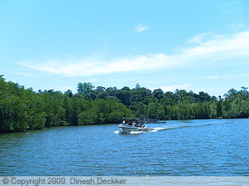 MADU RIVER BOAT RIDE